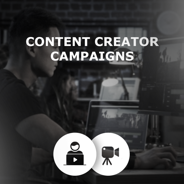Content Creator Campaigns